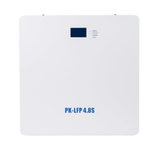 PIN LƯU TRỮ PK-LFP 4.8S